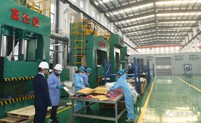 自然資源部領(lǐng)導(dǎo)赴淮調(diào)研 深化節(jié)約集約利用，評(píng)估成效促發(fā)展